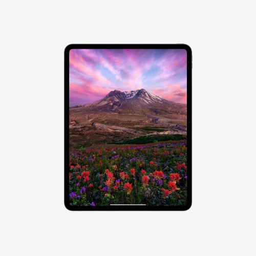iPad Pro 11 inç WiFi 2TB Nano-texture Cam - Uzay Siyahı